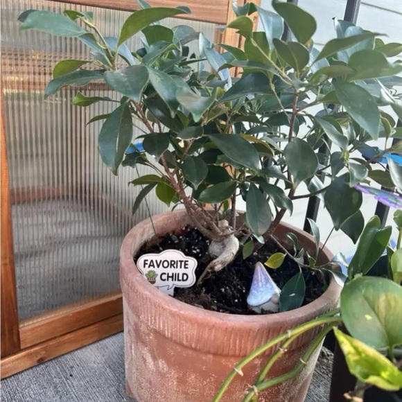 Surprise Pack: 3 Hilarious Garden Stakes for Plant Labels- NWT - Picture 7 of 13